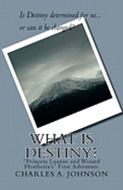 What Is Destiny?: "princess Luanne and Wizard Heatheria's" First Adventure