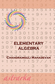 bokomslag Elementary Algebra