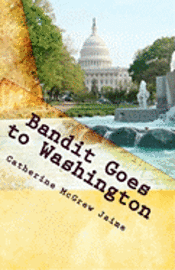 bokomslag Bandit Goes to Washington: Book 2 in the Horsey and Friends Series