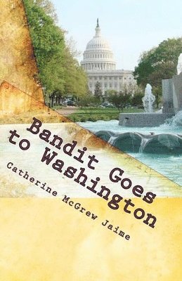 bokomslag Bandit Goes to Washington