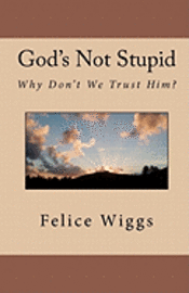 bokomslag God's Not Stupid: Why Don't We Trust Him?