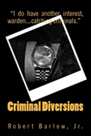 bokomslag Criminal Diversions