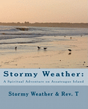 bokomslag Stormy Weather: A Spiritual Adventure on Assateague Island