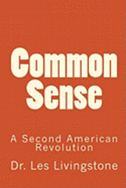 bokomslag Common Sense: A Second American Revolution