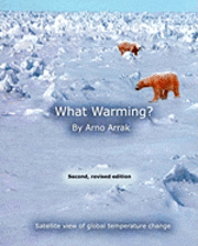 bokomslag What Warming?: Satellite View of Global Temperature Change