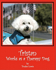 bokomslag Tristan Works as a Therapy Dog: A Tristan and Trudee Story
