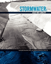 bokomslag Stormwater: Asset Not Liability