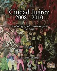 bokomslag Ciudad Juarez 2008 - 2010
