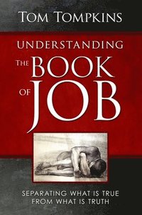 bokomslag Understanding the Book of Job: 'Separating What Is True From What Is Truth'