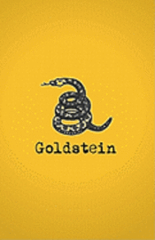 bokomslag Goldstein