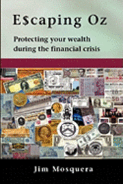 Escaping Oz: Protecting your wealth during the financial crisis 1