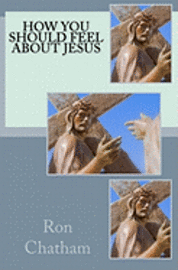 bokomslag How You Should Feel About Jesus