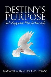 bokomslag Destiny's Purpose: God's Signature Plan For Your LIfe