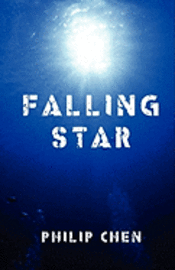 bokomslag Falling Star