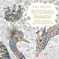 bokomslag Millie Marotta's Brilliant Beasts: Favorite Illustrations from Coloring Adventures