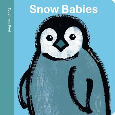 Spring Street Touch and Feel: Snow Babies 1