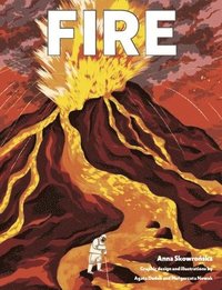 bokomslag Fire