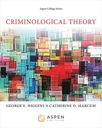 bokomslag Criminological Theory