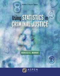 bokomslag Using Statistics in Criminal Justice