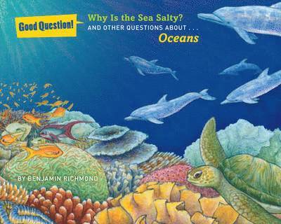 Ben Richmond - Richmond, B: Why Is the Sea Salty?, Häftad