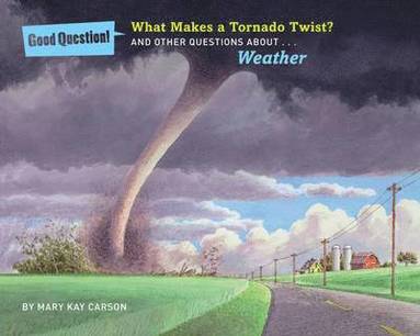 bokomslag What Makes a Tornado Twist?