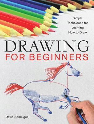 Drawing for Beginners 1