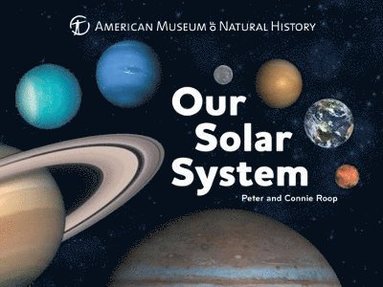 bokomslag Our Solar System: Volume 1