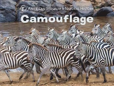bokomslag Camouflage