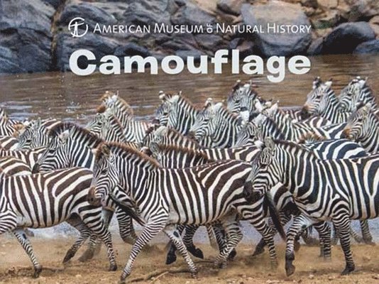 Camouflage 1