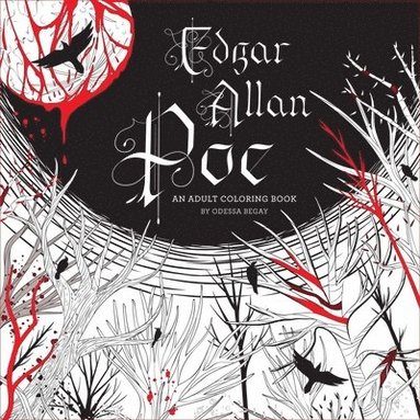 bokomslag Begay, O: Edgar Allan Poe: An Adult Coloring Book