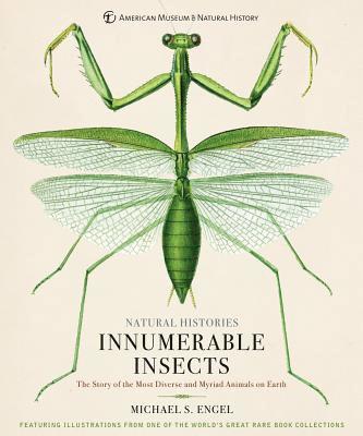 Innumerable Insects 1