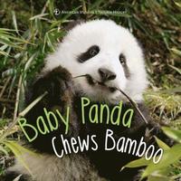 bokomslag Baby Panda Chews Bamboo