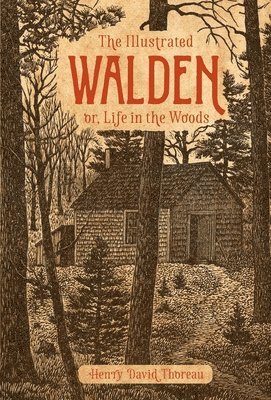 Henry Thoreau D - Illustrated Walden, Inbunden