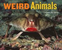 bokomslag Weird Animals