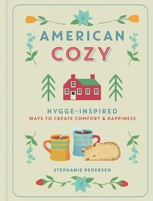 bokomslag American Cozy