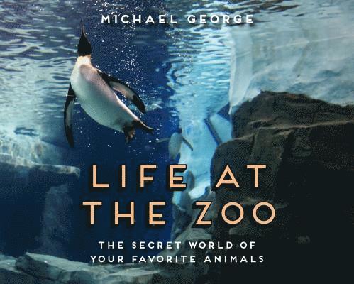 Life at the Zoo 1