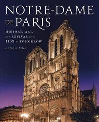 bokomslag Notre-Dame de Paris