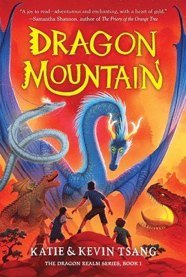 bokomslag Dragon Mountain