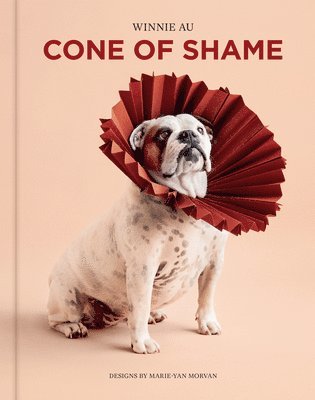 Cone of Shame 1