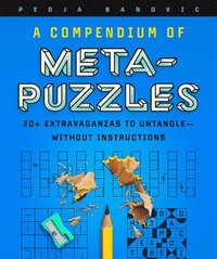 bokomslag A Compendium of Meta-Puzzles