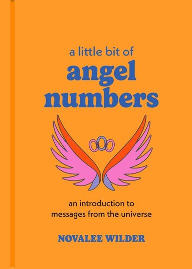 Novalee Wilder - Little Bit of Angel Numbers, Inbunden