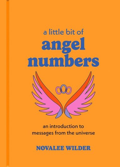 bokomslag A Little Bit of Angel Numbers