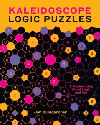 bokomslag Kaleidoscope Logic Puzzles