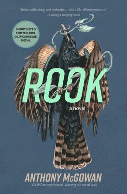 Anthony McGowan - Rook, Häftad