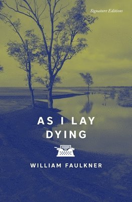 bokomslag As I Lay Dying