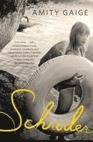 Amity Gaige - Schroder, Häftad