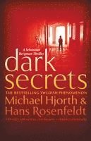 bokomslag Dark Secrets