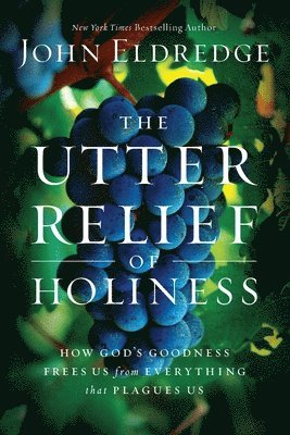 bokomslag Utter Relief Of Holiness