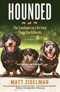 bokomslag Hounded: The Lowdown on Life from Three Dachshunds
