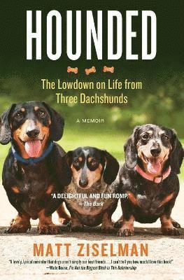 bokomslag Hounded: The Lowdown on Life from Three Dachshunds